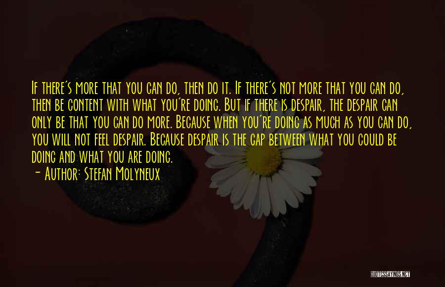 Doing What You Can Quotes By Stefan Molyneux