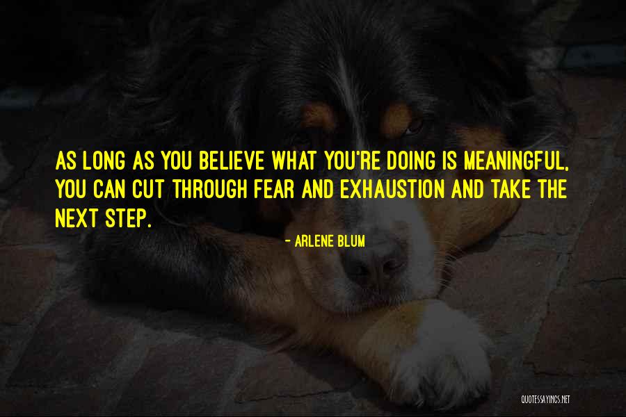 Doing What You Fear Quotes By Arlene Blum