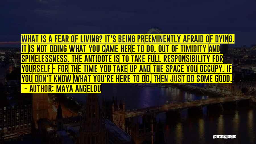 Doing What You Fear Quotes By Maya Angelou