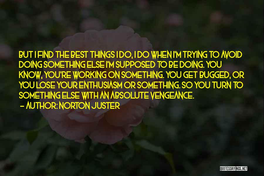 Doing Your Best Quotes By Norton Juster