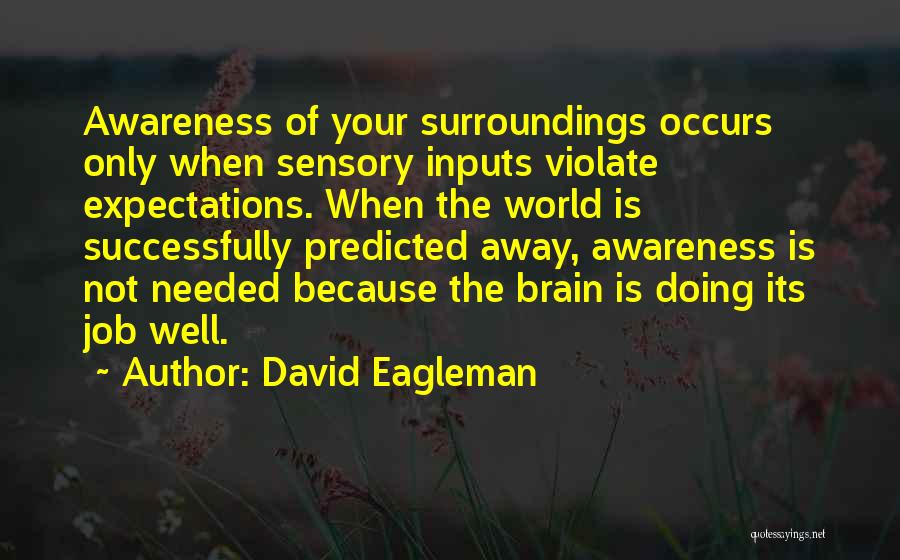 Doing Your Job Well Quotes By David Eagleman