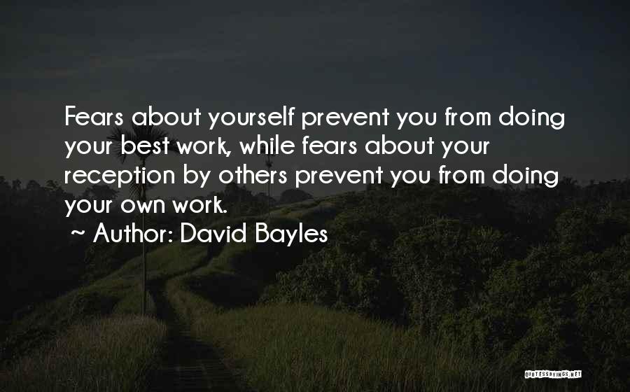 Doing Your Own Work Quotes By David Bayles