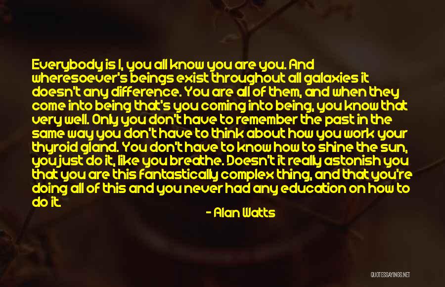 Doing Your Work Well Quotes By Alan Watts Doing Your Work Well Quotes By Alan Watts