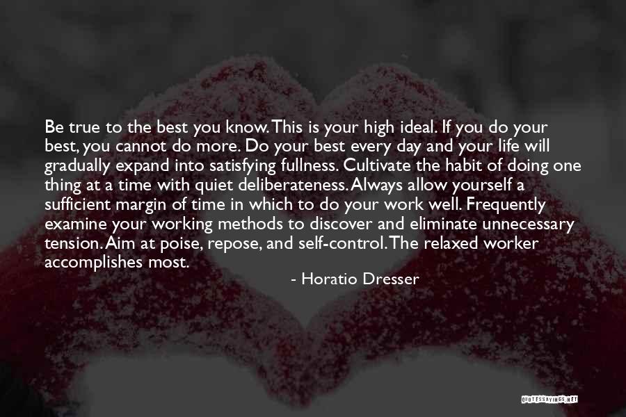 Doing Your Work Well Quotes By Horatio Dresser