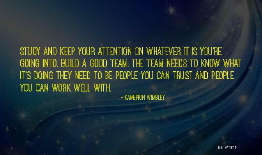 Doing Your Work Well Quotes By Kamerion Wimbley