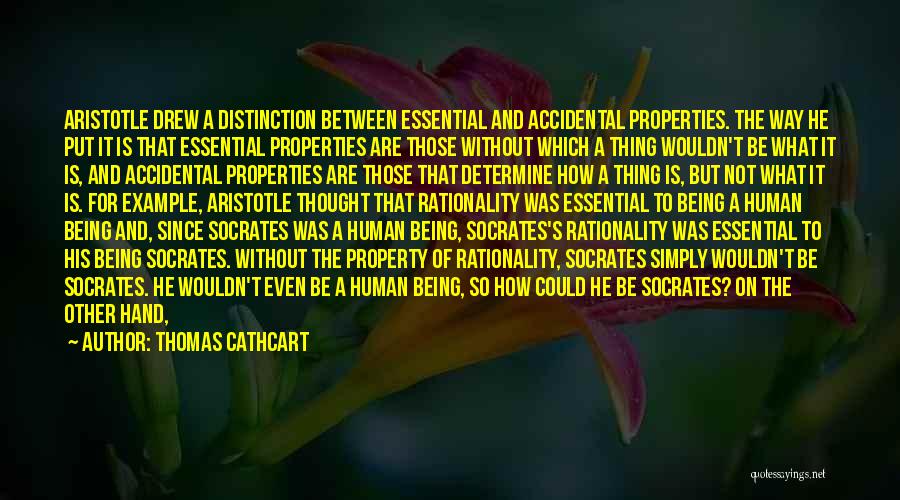 Doktorluk Sinavi Quotes By Thomas Cathcart