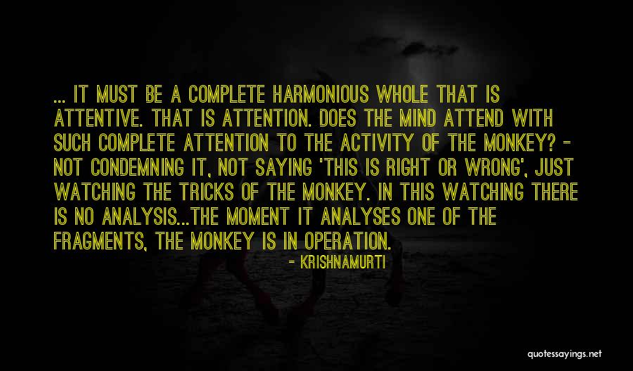 Dolanaar Quotes By Krishnamurti Dolanaar Quotes By Krishnamurti