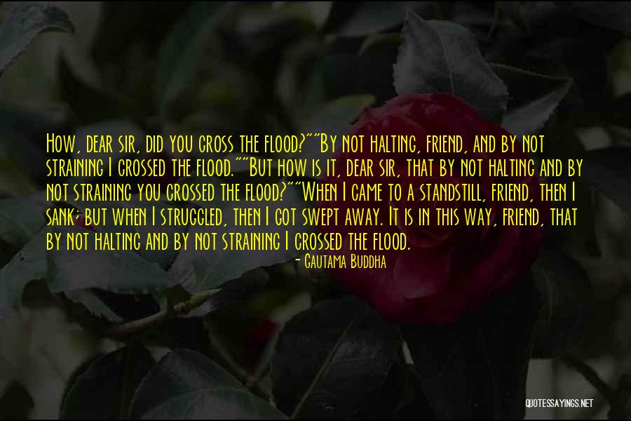 Dolares A Lempiras Quotes By Gautama Buddha Dolares A Lempiras Quotes By Gautama Buddha