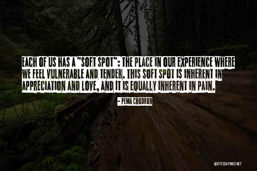 Dolce Vita Tortebi Quotes By Pema Chodron Dolce Vita Tortebi Quotes By Pema Chodron
