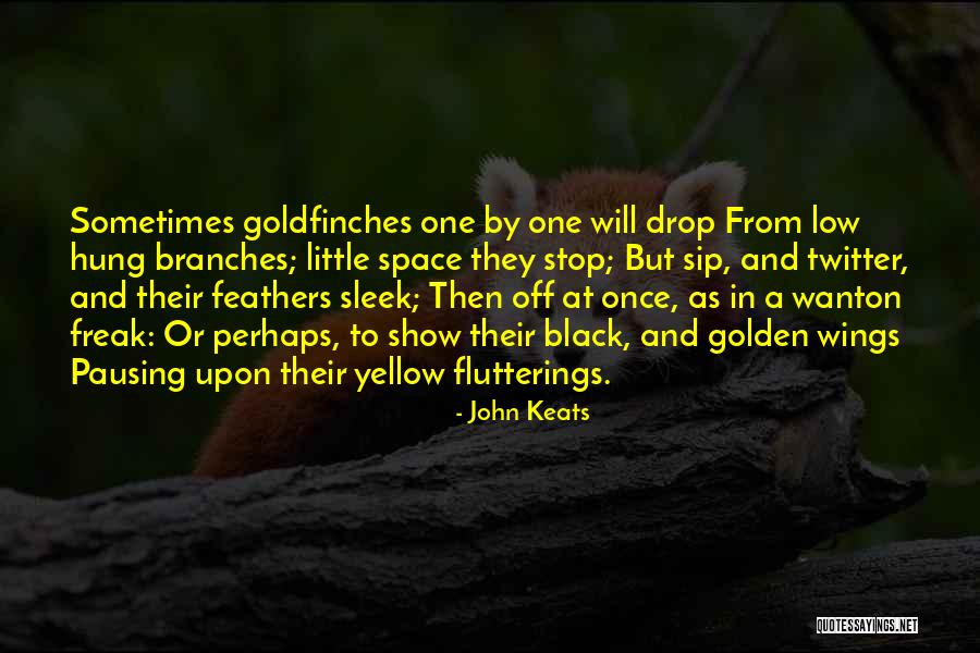 Dolcemascolo In Lercara Quotes By John Keats Dolcemascolo In Lercara Quotes By John Keats