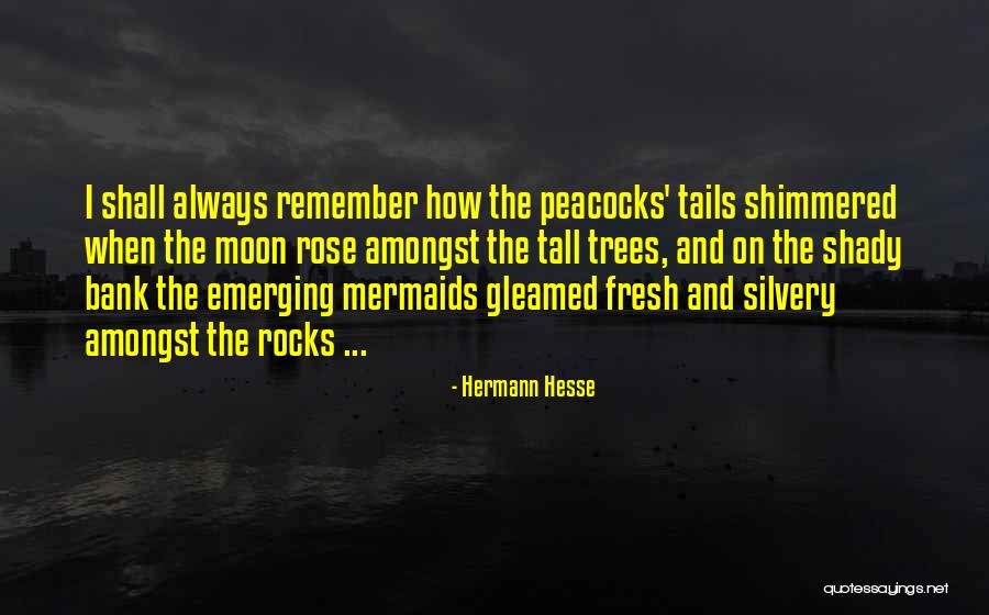 Dolder Butterfly Bistro Quotes By Hermann Hesse Dolder Butterfly Bistro Quotes By Hermann Hesse