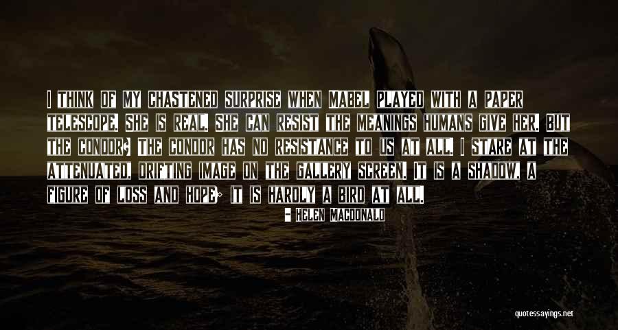 Doldurea Quotes By Helen Macdonald Doldurea Quotes By Helen Macdonald