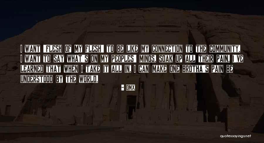 Dolinar Spahija Quotes By DMX Dolinar Spahija Quotes By DMX