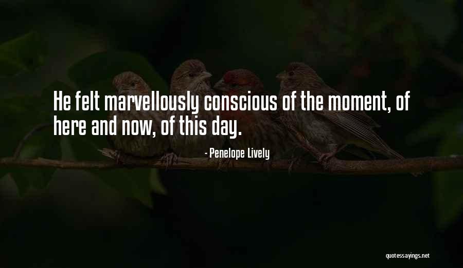 Dolinsky Santa Fe Quotes By Penelope Lively Dolinsky Santa Fe Quotes By Penelope Lively