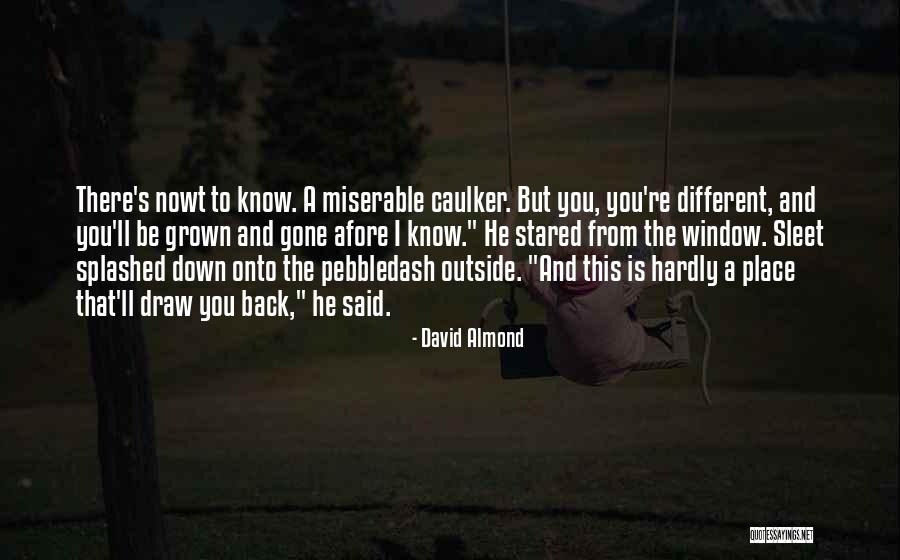 Dolkar Daryacha Quotes By David Almond