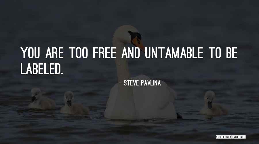 Doll Ros K Pek Quotes By Steve Pavlina Doll Ros K Pek Quotes By Steve Pavlina
