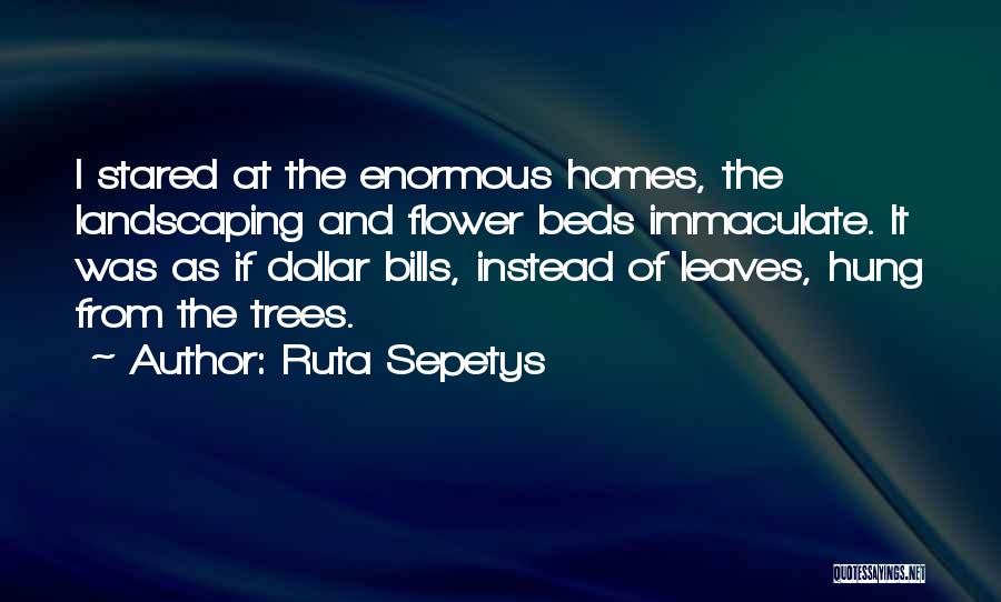 Dollar Bills Quotes By Ruta Sepetys