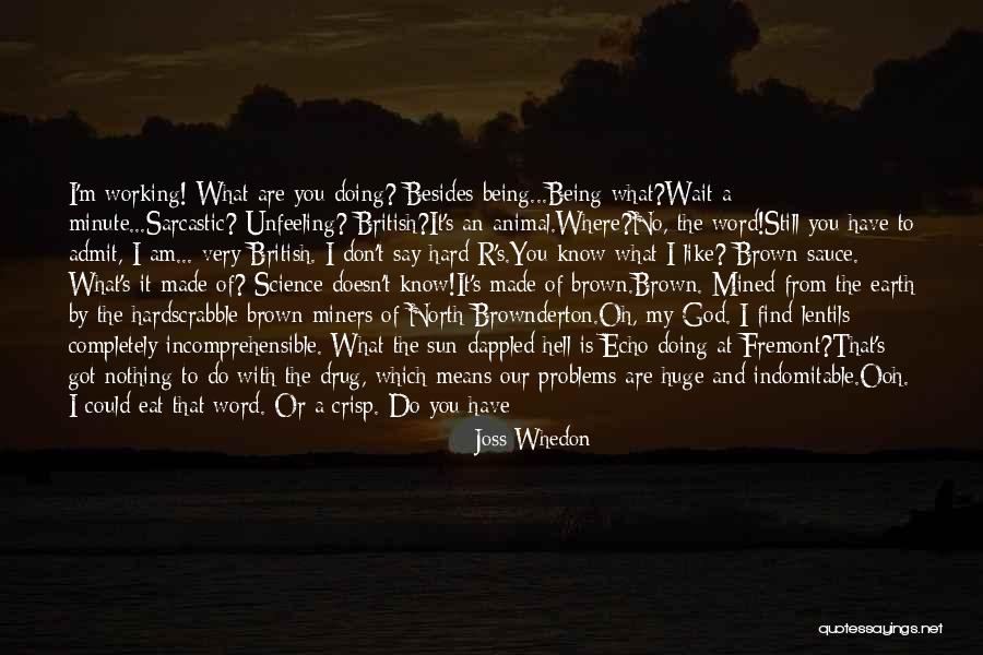 Dollhouse Joss Whedon Quotes By Joss Whedon