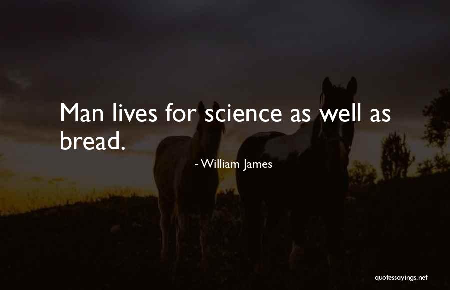 Dolmans In Stormhaven Quotes By William James Dolmans In Stormhaven Quotes By William James