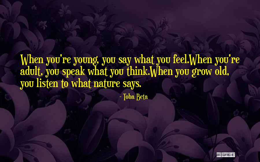 Dolmas Stuffed Quotes By Toba Beta Dolmas Stuffed Quotes By Toba Beta