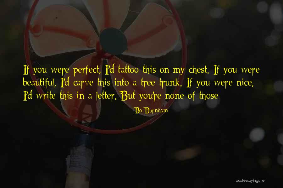 Dolmens And Barrows Quotes By Bo Burnham Dolmens And Barrows Quotes By Bo Burnham