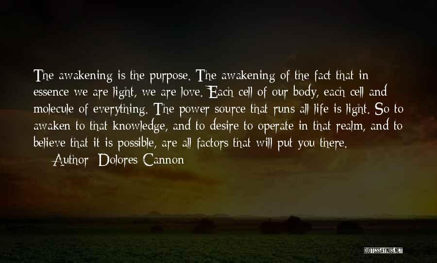Dolores Cannon Quotes 626087