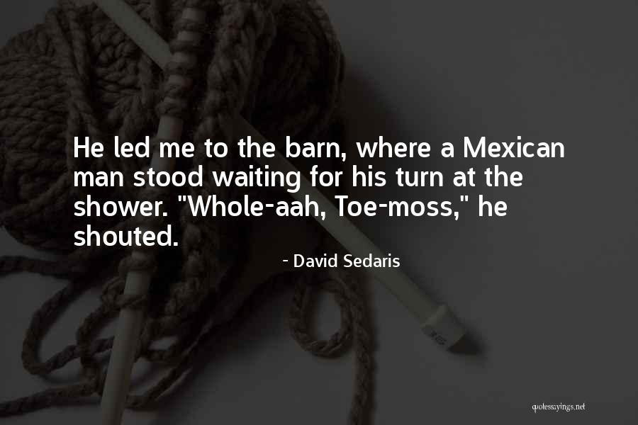 Dolorin Quotes By David Sedaris Dolorin Quotes By David Sedaris