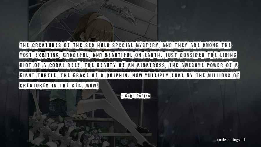 Dolphin Quotes By Carl Safina Dolphin Quotes By Carl Safina