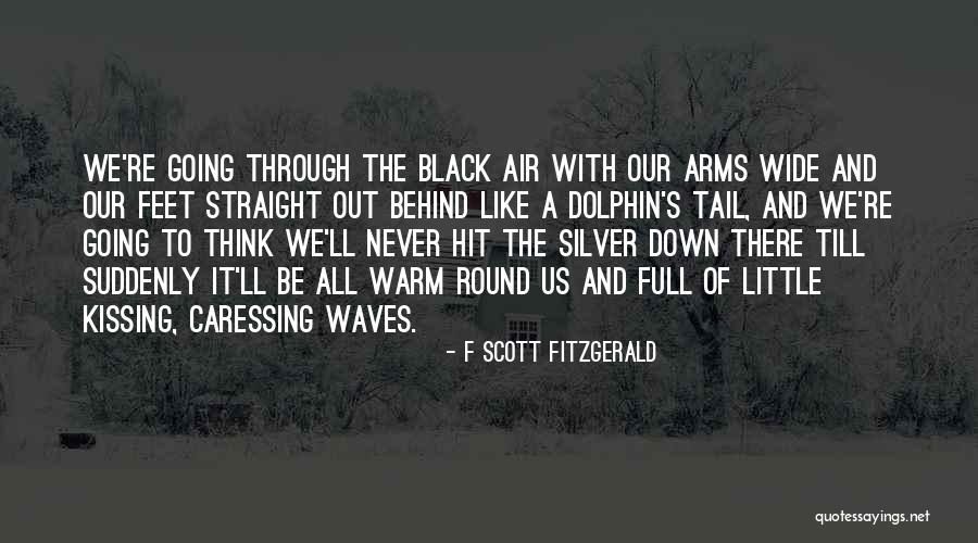Dolphin Quotes By F Scott Fitzgerald Dolphin Quotes By F Scott Fitzgerald