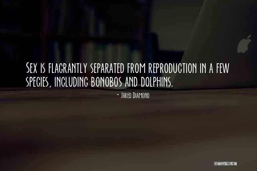 Dolphin Quotes By Jared Diamond Dolphin Quotes By Jared Diamond