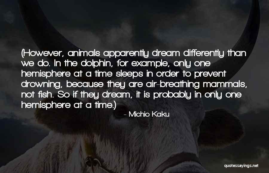 Dolphin Quotes By Michio Kaku Dolphin Quotes By Michio Kaku