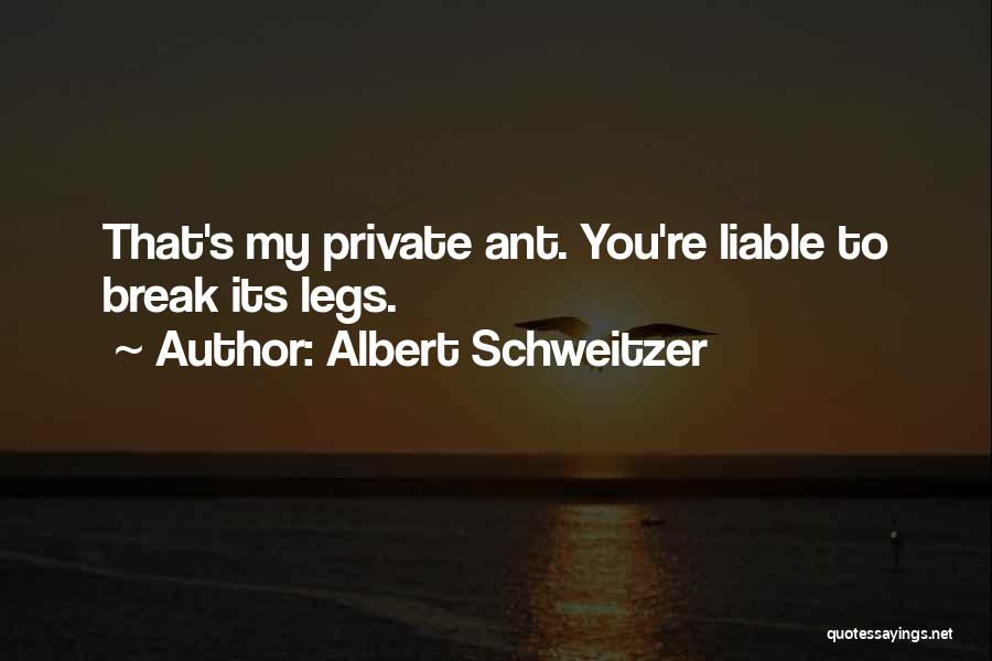 Dolphin Tale Book Quotes By Albert Schweitzer