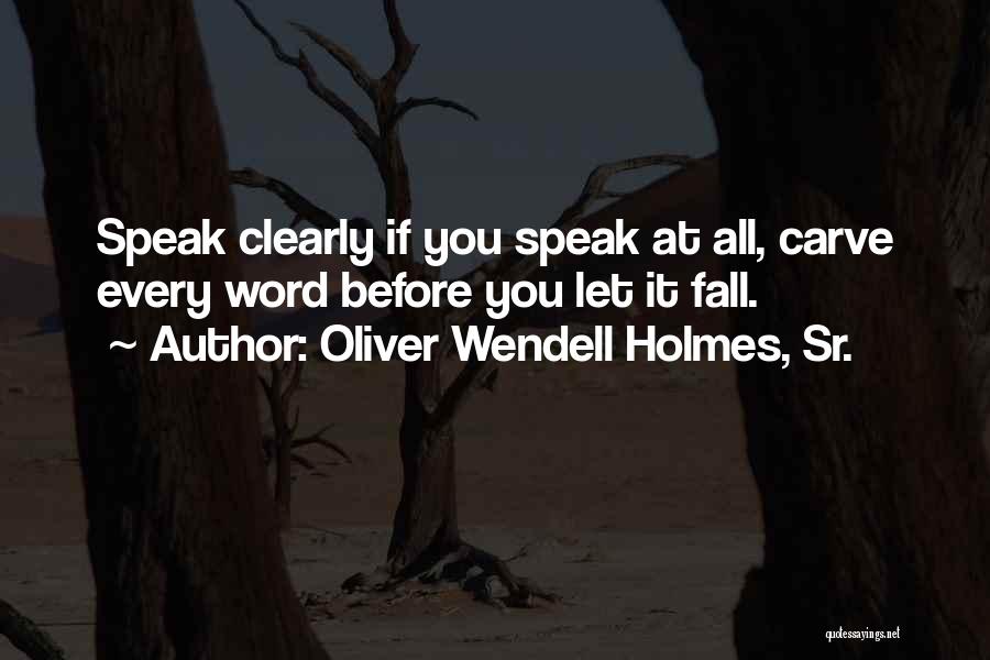 Dolphin Tale Book Quotes By Oliver Wendell Holmes, Sr.