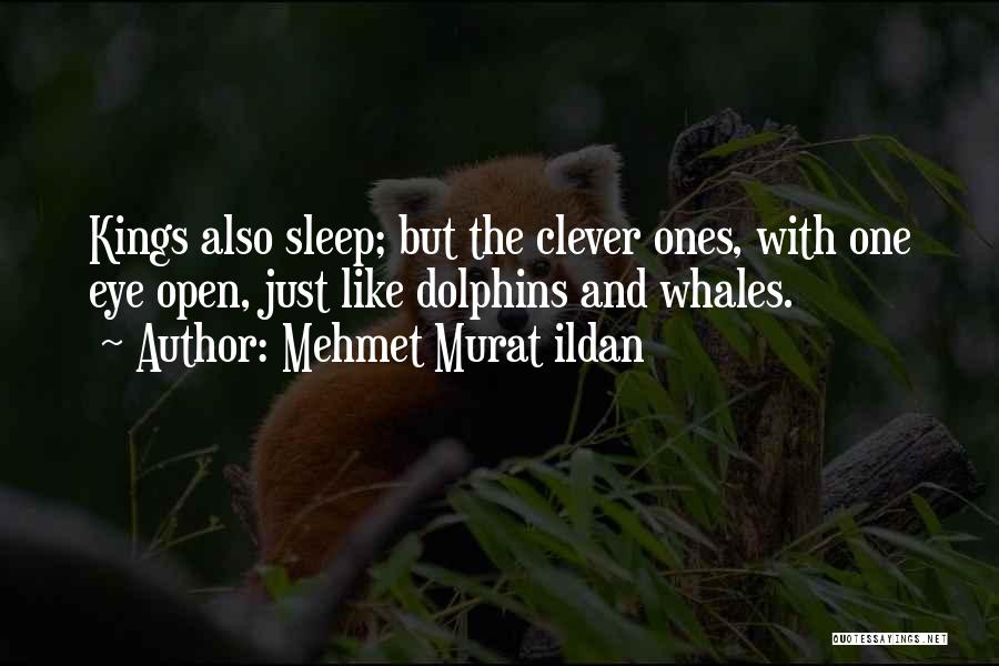 Dolphins And Whales Quotes By Mehmet Murat Ildan