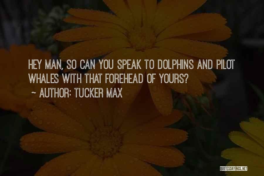 Dolphins And Whales Quotes By Tucker Max