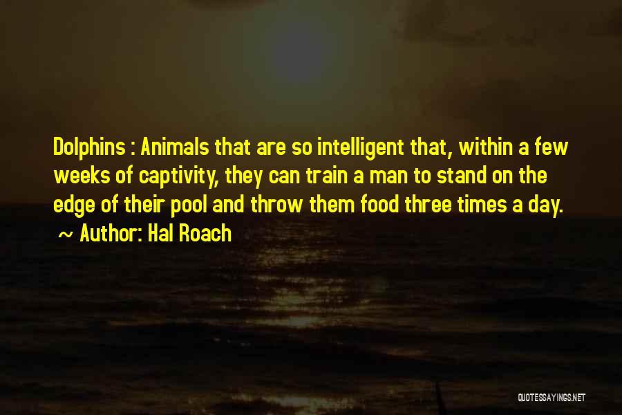 Dolphins In Captivity Quotes By Hal Roach