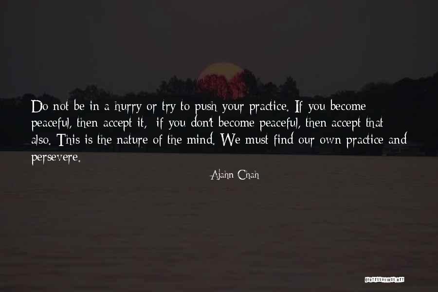 Dolt Synonym Quotes By Ajahn Chah Dolt Synonym Quotes By Ajahn Chah