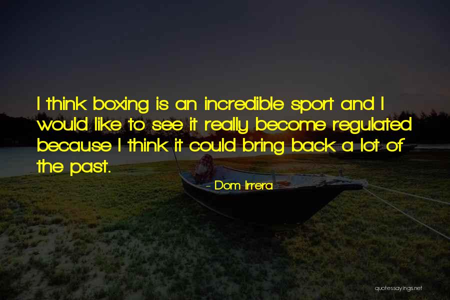 Dom Irrera Quotes 972241