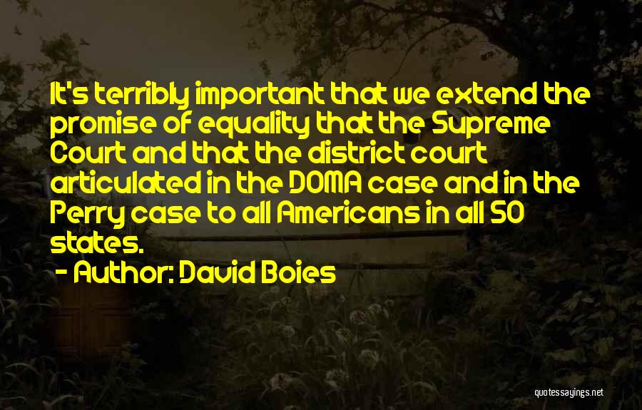 Doma Quotes By David Boies