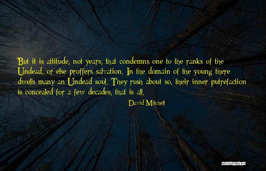 Domain Quotes By David Mitchell