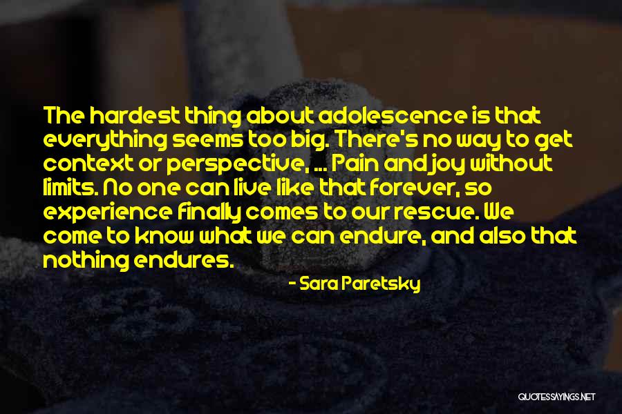 Domamoni Quotes By Sara Paretsky Domamoni Quotes By Sara Paretsky