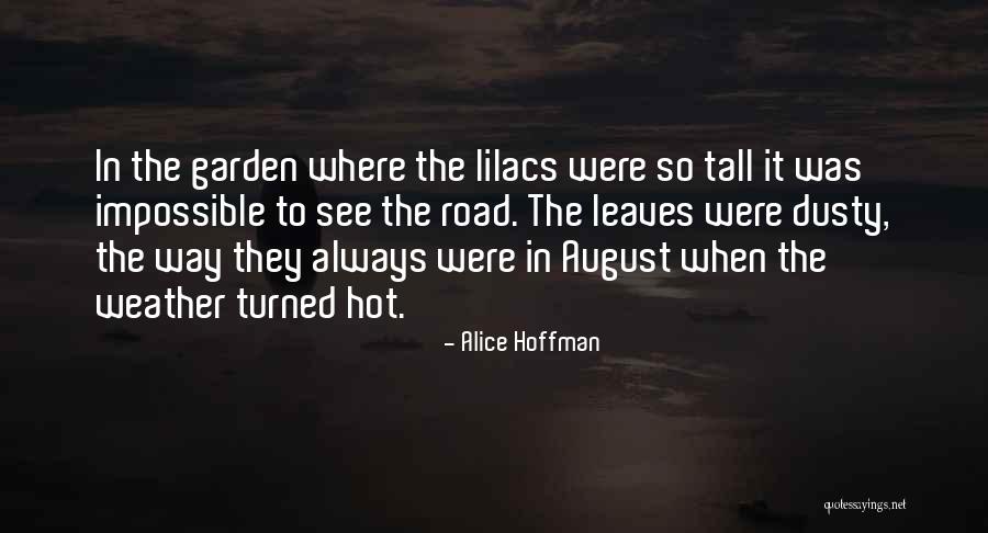 Domandare Conjugation Quotes By Alice Hoffman Domandare Conjugation Quotes By Alice Hoffman