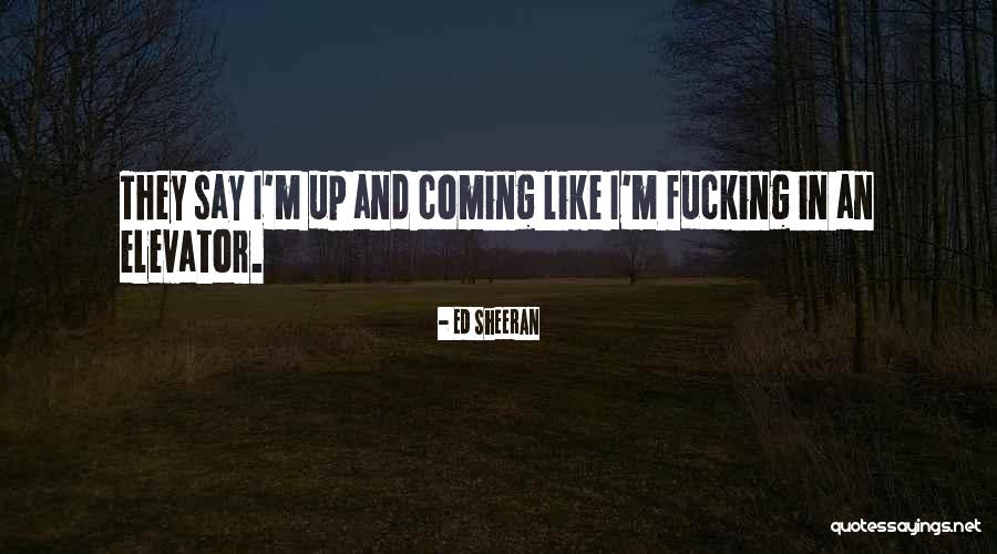 Domani Quotes By Ed Sheeran Domani Quotes By Ed Sheeran