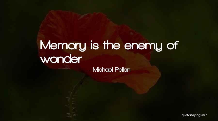 Dombek Md Quotes By Michael Pollan Dombek Md Quotes By Michael Pollan