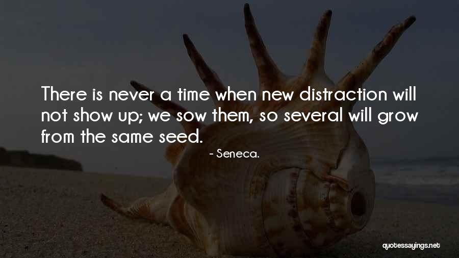 Dombrowski Tree Quotes By Seneca. Dombrowski Tree Quotes By Seneca.