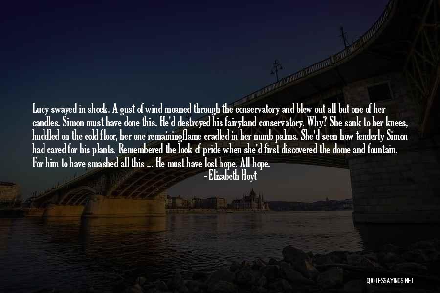 Dome Quotes By Elizabeth Hoyt Dome Quotes By Elizabeth Hoyt