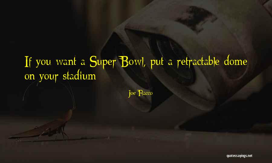 Dome Quotes By Joe Flacco