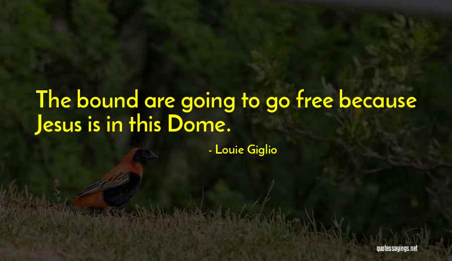 Dome Quotes By Louie Giglio Dome Quotes By Louie Giglio