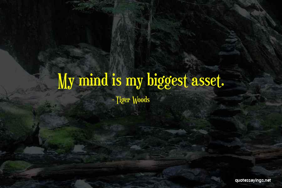 Domeneghini Quotes By Tiger Woods Domeneghini Quotes By Tiger Woods