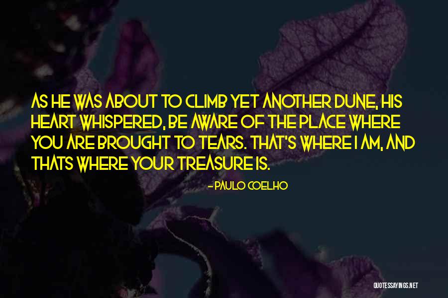 Domenici Rivlin Quotes By Paulo Coelho Domenici Rivlin Quotes By Paulo Coelho